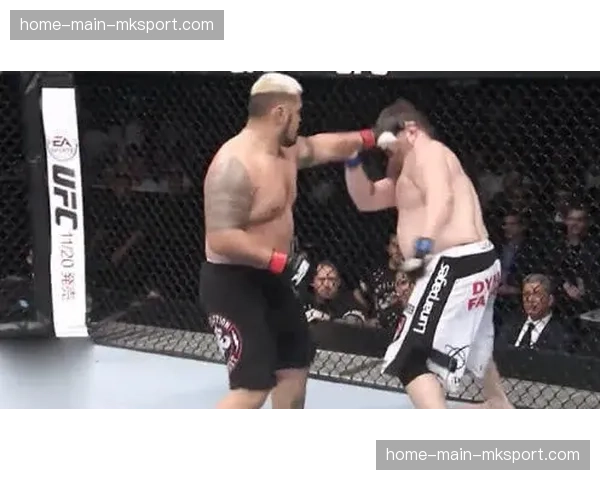 前UFC选手因涉嫌非法地下拳赛经营及赌博被警方起诉